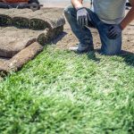 Benefits of Planting Kentucky Bluegrass- Worker planting healthy rolls of green sod