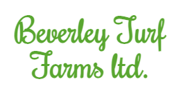 beverly turf farms logo