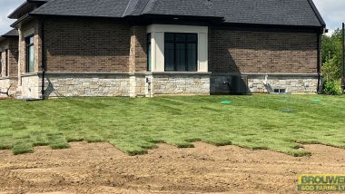 new sod placement