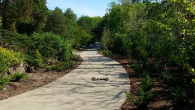 pathway with mulch