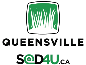 Queensville Sod Farms