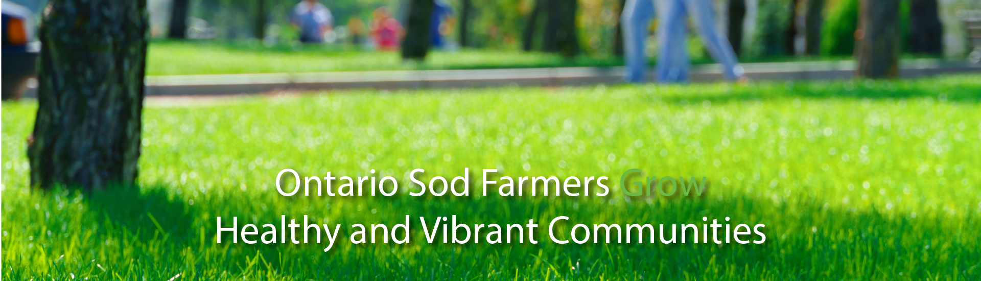 Ontario Sod Farmers Grow Healthy and Vibrant Communities