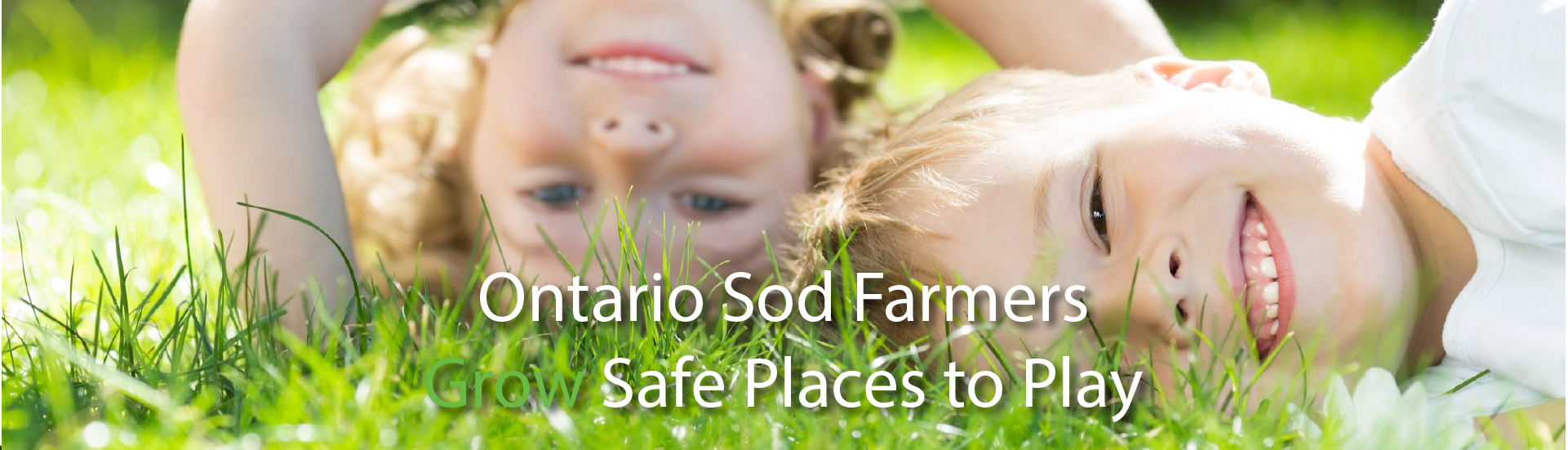 Ontario Sod Farmers Grow Safe Places to Play