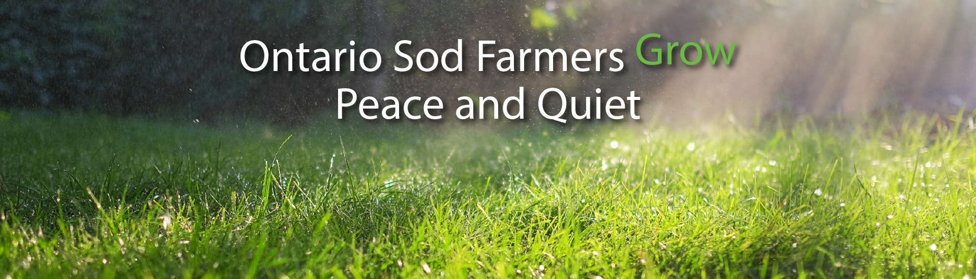 Ontario Sod Farmers Grow Peace and Quiet