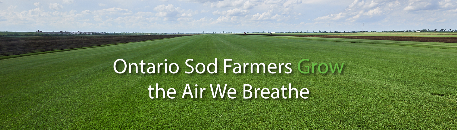 Ontario Sod Farmers Grow the Air We Breathe