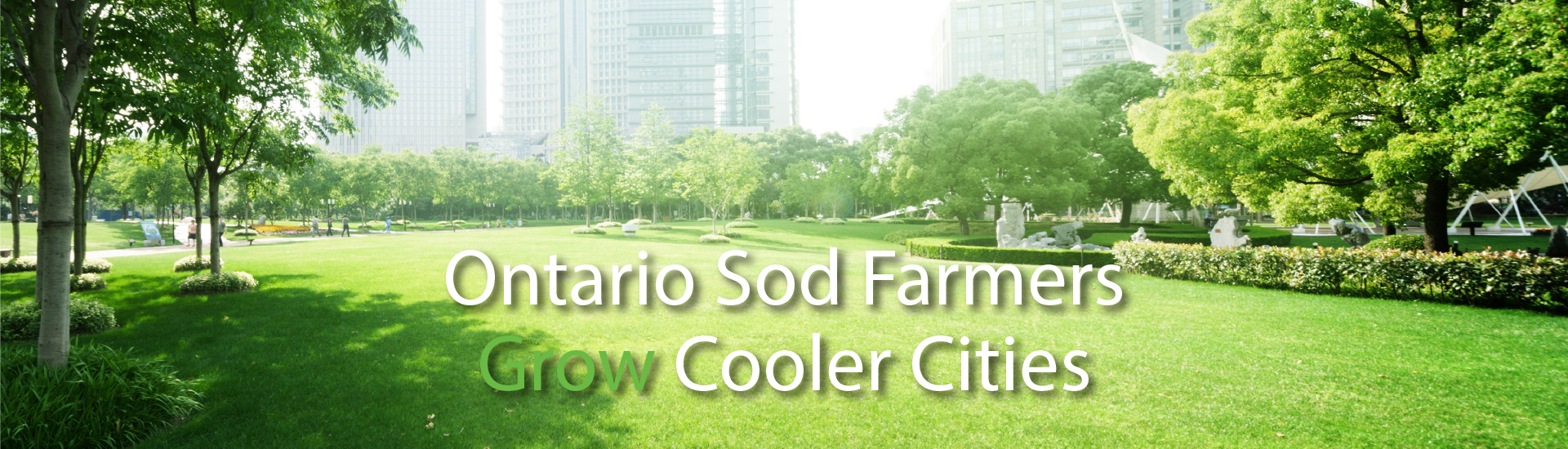 Ontario Sod Farmers Grow Cooler Cities