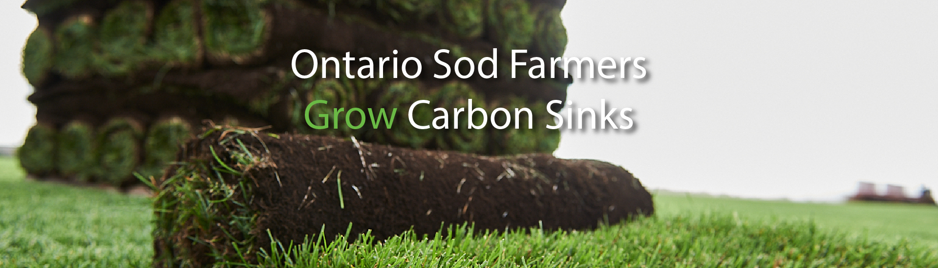 Ontario Sod Farmers Grow Carbon Sinks